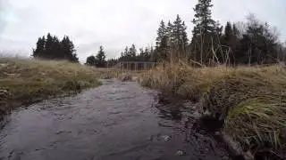 GoPro fun at the Brook