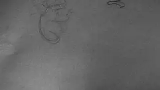 Animation - Stitch
