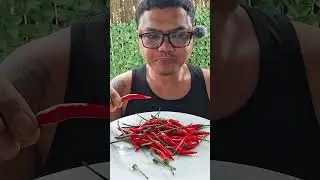 130 Pirasong Sili, Hanggang Saan Ko Kaya?