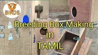 How to make breeding box in tamil for  lovebirds, cocktails,etc... |V2BIRDS|