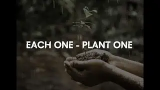 Tree Plantation By Our Business Associates | EDINAC