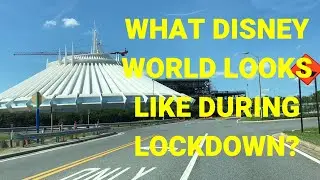 What Does Disney World Look Like During Lockdown?