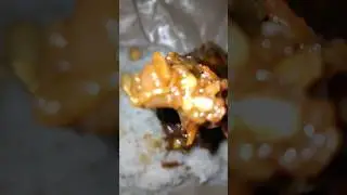GORENG PUYUH MASIH PERAWAN MEMANG BEDA 