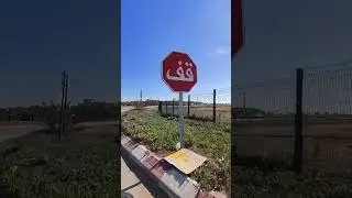 bouznika 4k Dahomey et flowers