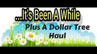 🎉 Dollar Tree Haul | It&rsquo;s Been a While! 🛒✨