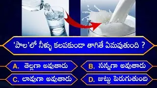 Interesting Questions In Telugu|Episode-74|By Rk thoughts|Unknown Facts|GeneralKnowledge|Telugu Quiz