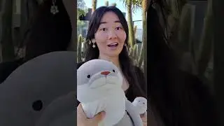 Rock paper scissors challenge w strangers