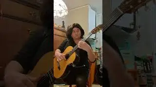 🎄Missing childhood Christmases is a common feeling, often nostalgia Op.38 by Emma Nordin Gitarr66🪕🎶