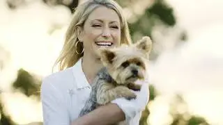 Petway Petcare - Dog & Cat Grooming Products