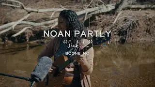 Noan Partly - Sink In | Boone, NC | Home Economy