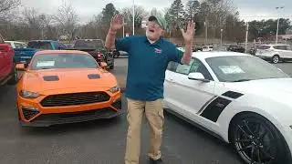 TRP's Crazy Mustang Man 