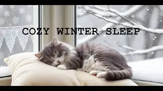 Cozy Winter Cat Sleep LoFi Sounds &ndash; Relax, Meditate, or Fall Asleep Fast 💤