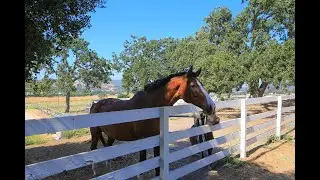 1430 Hidden Valley Road, Hidden Valley, California 91361