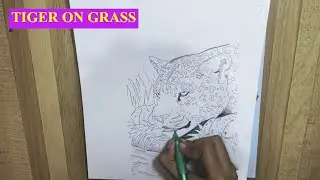 Tiger 🐯 sketch | Art 🎨 by Bhawana