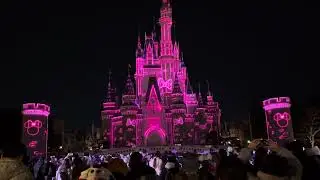 シンデレラ城の環境演出(ミニーのファンダーランド)