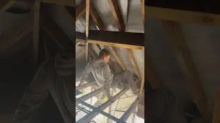 Removing a lath & plaster ceiling #ceiling #homerenovation #backtobasics #home #renovation #reno