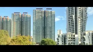 Principal Garden TOP Video