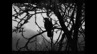 Depressive black metal #06