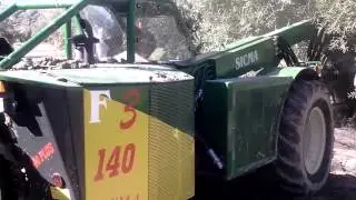 BUGGY SICMA F3 140 PLUS CON PINZA BARRAZA