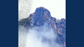 Primordial Stars