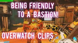 being Friendly to a Bastion (Overwatch Clips)