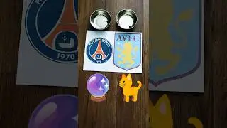 ⚽️😺 Oracle Cat predicts PSG vs. Aston Villa 2:0 #ChampionsLeague #OracleCat
