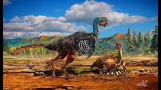 Prehistoric Information- Avimimus