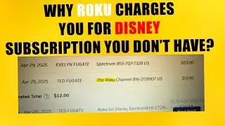 Roku For Disney Electronic Content Inc 816-2728107 Charge On Credit Card - What&rsquo;s Going On?