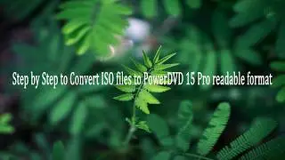 How to Transfer and Play Blu-ray/DVD ISO Files on PowerDVD 15 Pro?