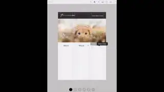 Adobe Comp Demo