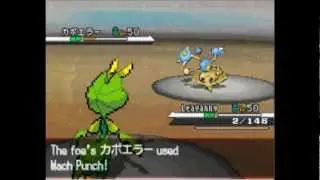 B/W Random Wifi Battle 17: Leavanny Lucks Out Again