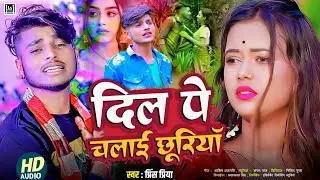 #bewafa2026 दिल पे चलाई छूरियॉ || #prince priya sad song 2026 | #maithili गाना dard bhariजख्मी gazal