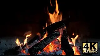 Relaxing Forest-Fire For Sleep, Meditation & Stress/Anxiety Relief | 1 Hour (No Music) 🔥