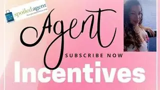 Travel Agent Incentives