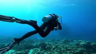 Scuba Woman Check Dive