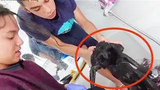 🇵🇭 Half Filipino kids washing cat. How to Midnight 👨&zwj;👩&zwj;👧&zwj;👦 RodVivKids Family Vlog  Europe