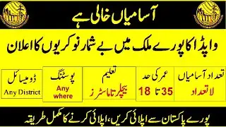Wapda new Jobs For All Pakistan l 2020