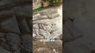 The importance of olive oil to life in the Holy Land at the time of Jesus