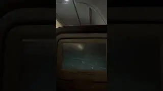 Harry Potter in the plane