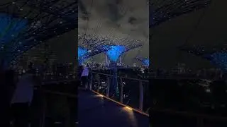Gardens By the Bay  - OCBC Skyway