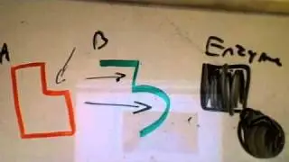 Biology Help: Enzymes