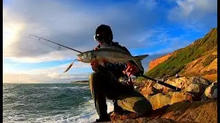 Found a School off the Rocks! - Adelaide South Metro Fishing