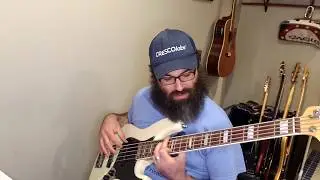 I Write Sins, Not Tragedies- Panic at the Disco Bass Cover