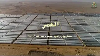 الغمر مشاريع زراعية بهمم وسواعد أردنية