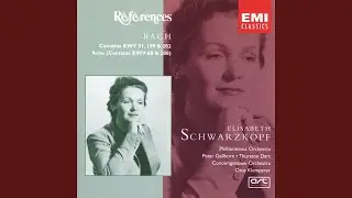 Mein Herze schwimmt im Blut, BWV 199: No. 1, Rezitativ. 