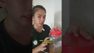 Tuak Kopi