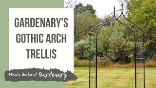 Gardenary's Gothic Arch Trellis