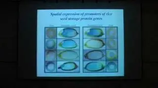 Agriculture & Plant Genetic Engineering 2
