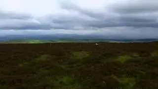 Sidlaws
