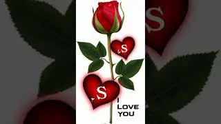 S letter name Whatsapp Status//#shorts #ashortaday #shortsvideo